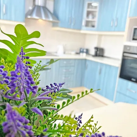 Apartmán Encantador Muy Centrico Terraza Y Ac Alicante